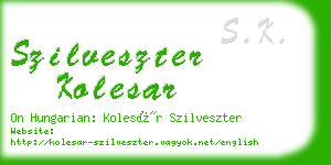 szilveszter kolesar business card